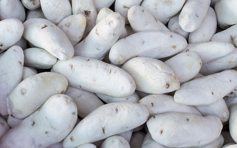 The Ancient History Behind Freeze-Dried Astronaut Ice Cream