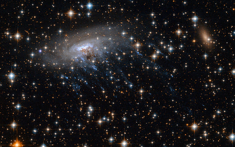 The Great Attractor