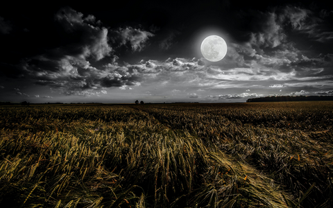 Techniques, Gear & Settings To Master Moon Photography