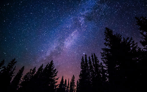 The Journey to Alpha Centauri
