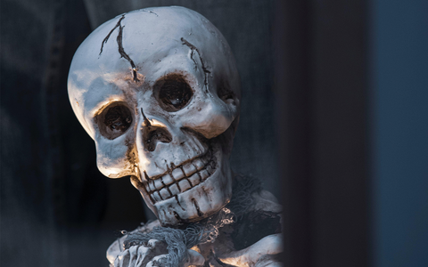 How To Be The "Good House On The Block" This Halloween