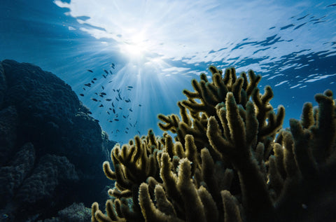 NASA's Key To Space Exploration May Start At Our Own Ocean Floor